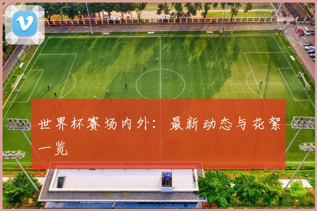 世界杯赛场内外:最新动态与花絮一览